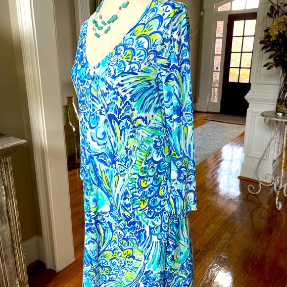 Lilly Pulitzer Dress - Picture 3 of 7